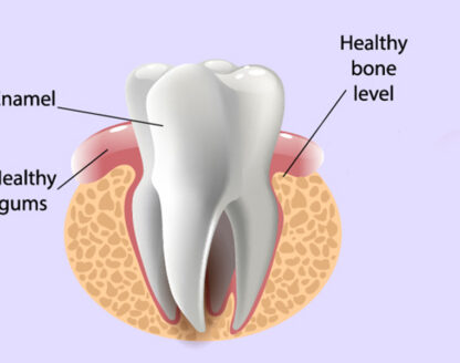 tooth information infographic